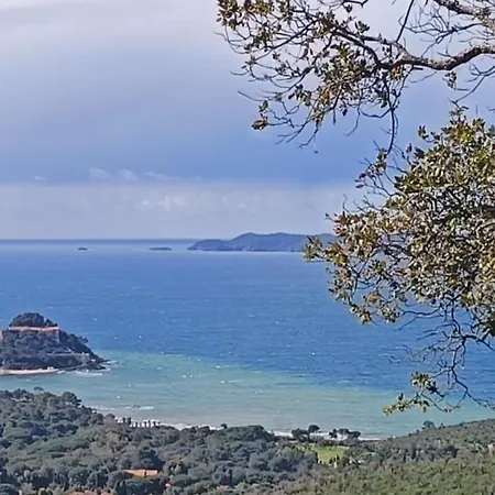 La Faviere Les Mimosas * Bormes-les-Mimosas